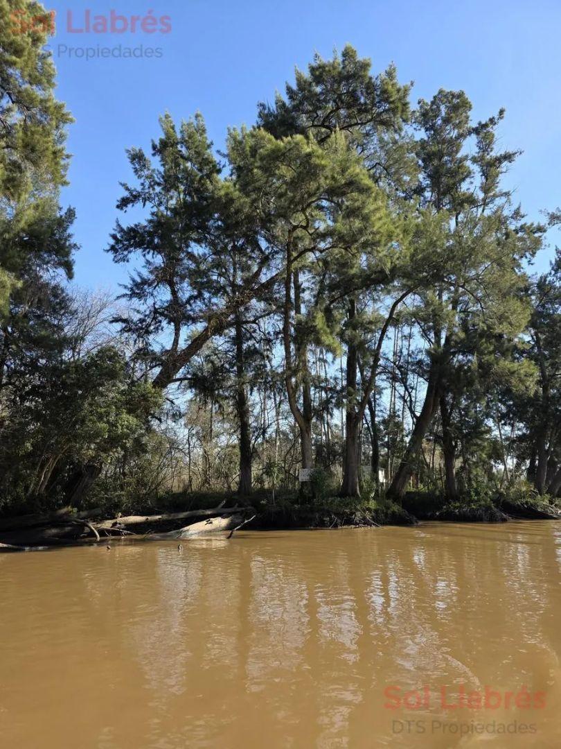 Foto de Terreno En Venta En Primera Sección De Islas Del Delta De Tigre, imagen 5
