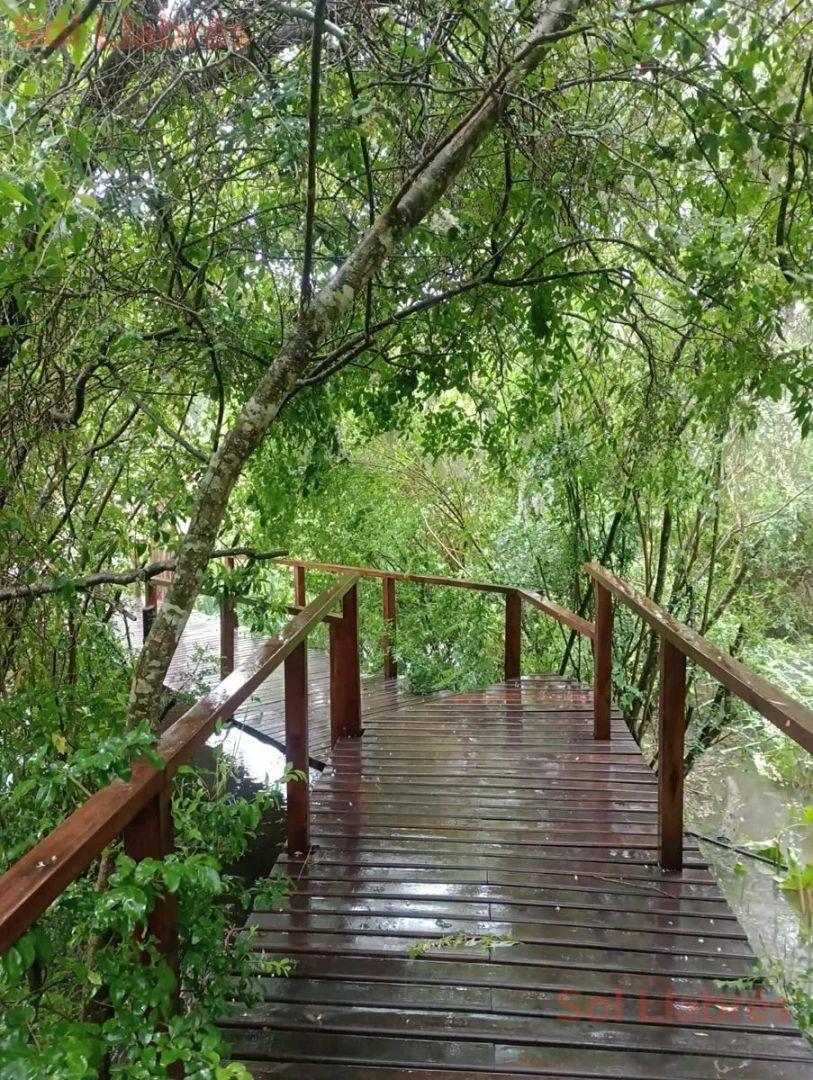 Foto de Casa En Venta En Isals Del Delta De Tigre, imagen 4