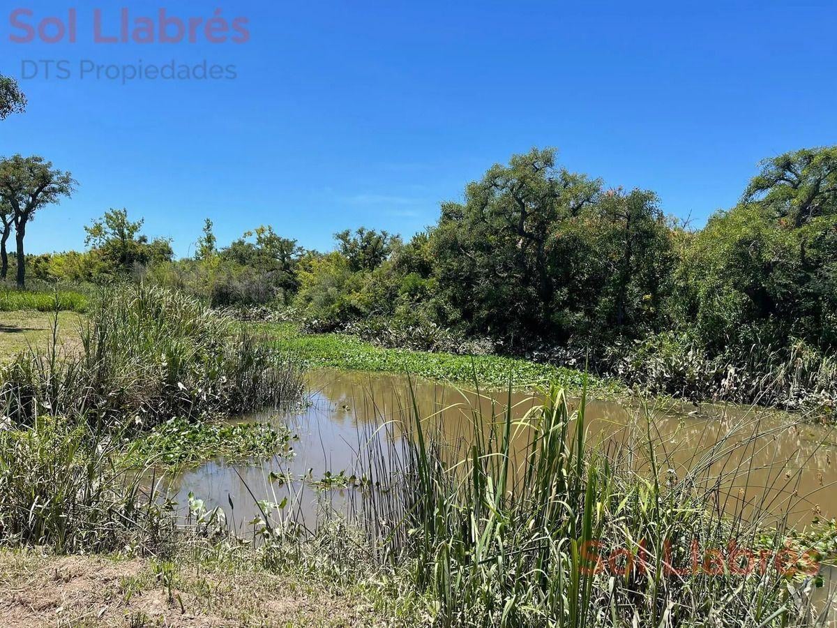 Foto de Casa En Venta Delta Tigre, imagen 4