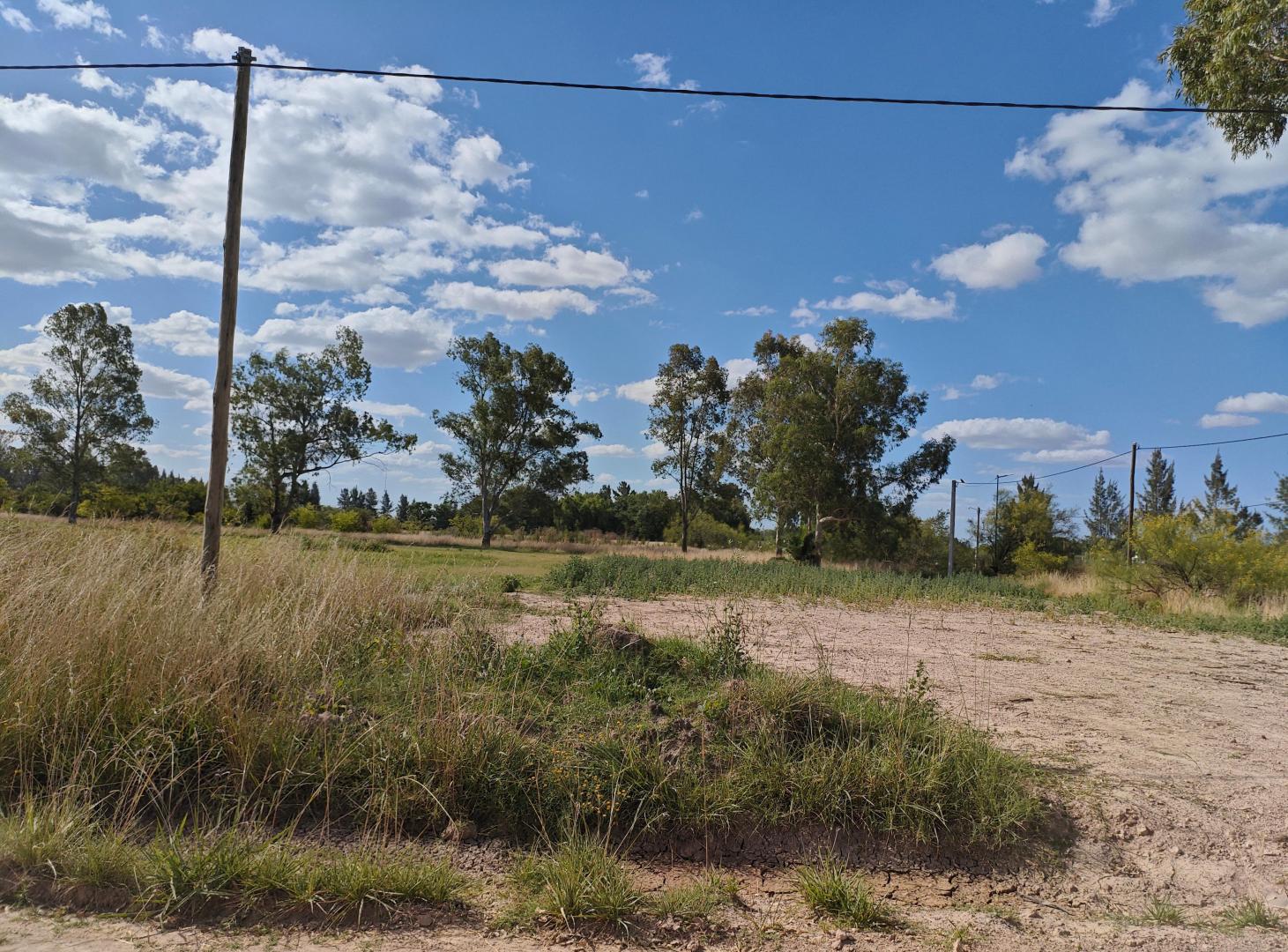 Terreno de 800 m² en venta en Brandsen