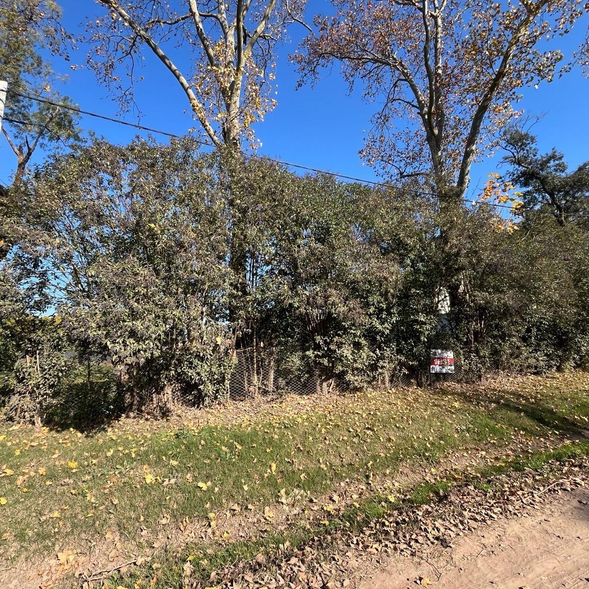 Terreno en Lobos 1