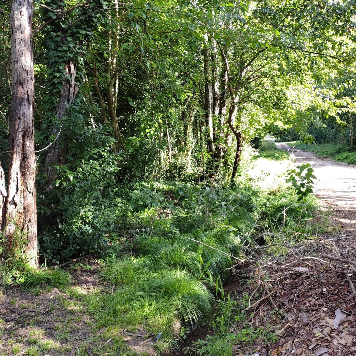 Hermoso Lote en Villa Elisa 3