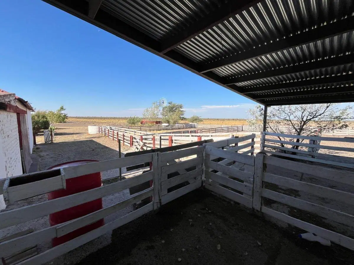 Campo en Venta en RN 3, Km 1540 (Entre Trelew y Uzcudun), Estancia La Concepción 3