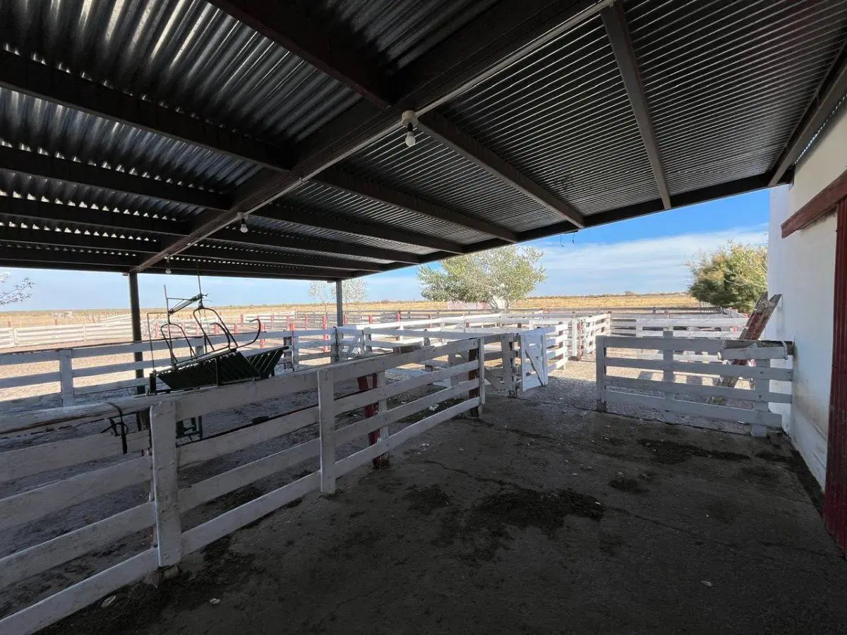 Campo en Venta en RN 3, Km 1540 (Entre Trelew y Uzcudun), Estancia La Concepción 2