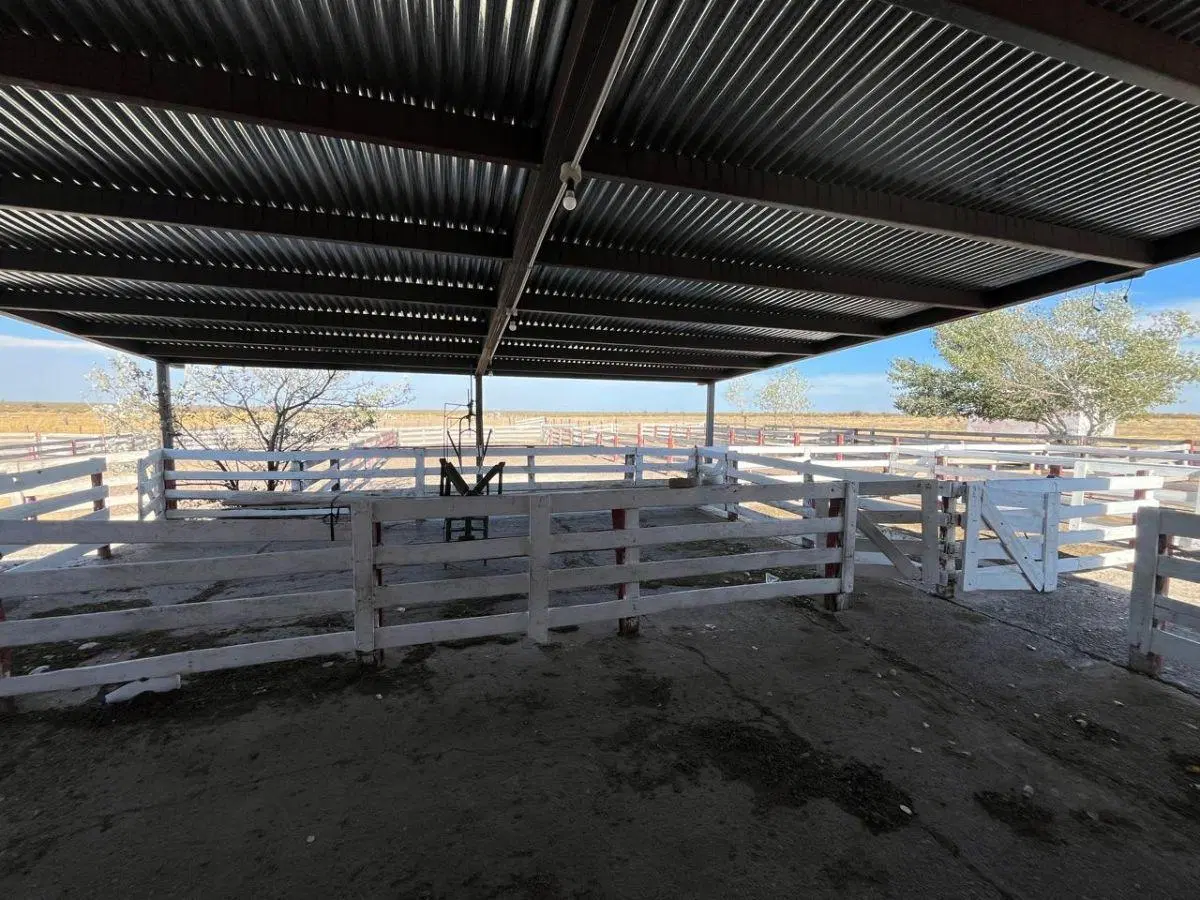Campo en Venta en RN 3, Km 1540 (Entre Trelew y Uzcudun), Estancia La Concepción 5