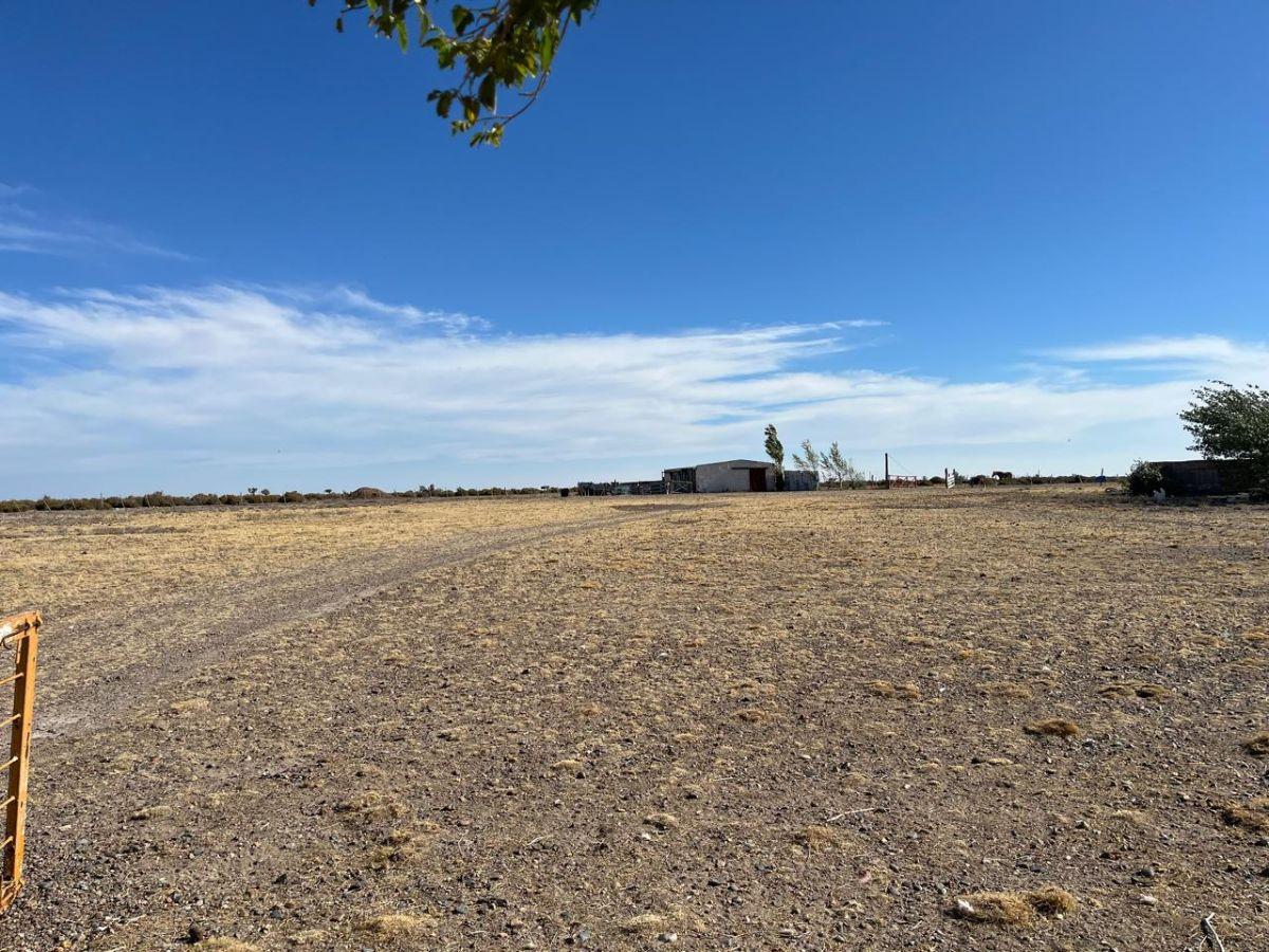 Campo en Venta en RN 3, Km 1540 (Entre Trelew y Uzcudun), Estancia La Concepción