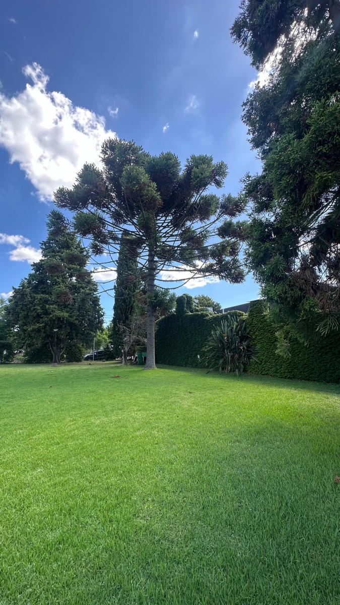 Venta Lote Gonnet 18 505 y 506