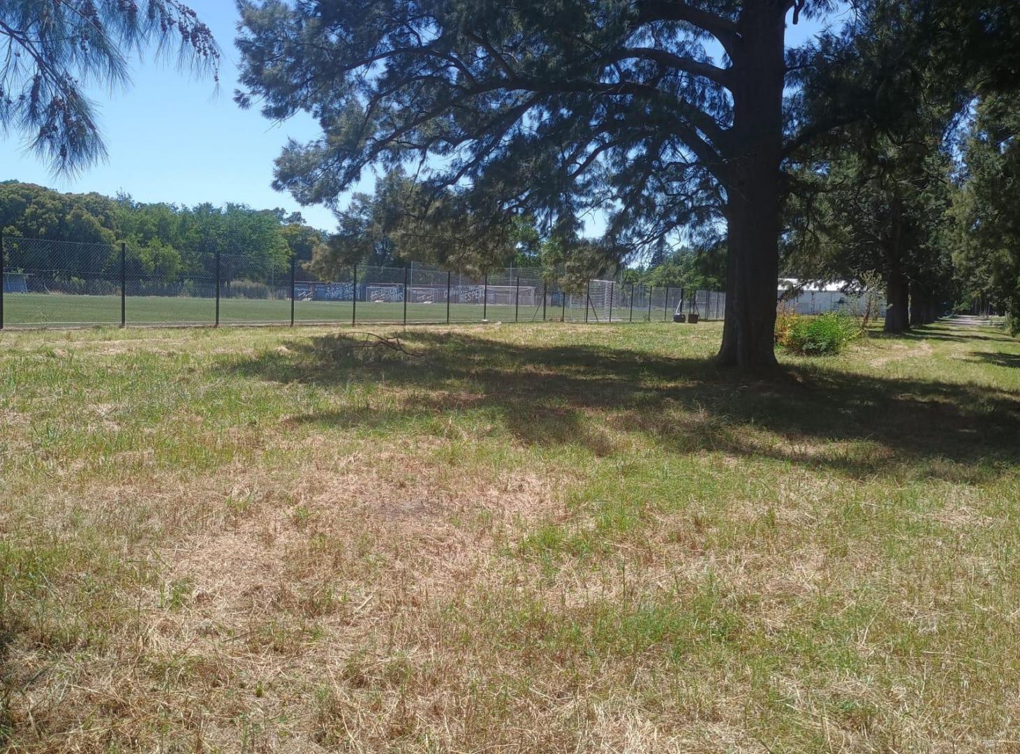 Foto de Lote en venta - Abasto - La Plata, imagen 2