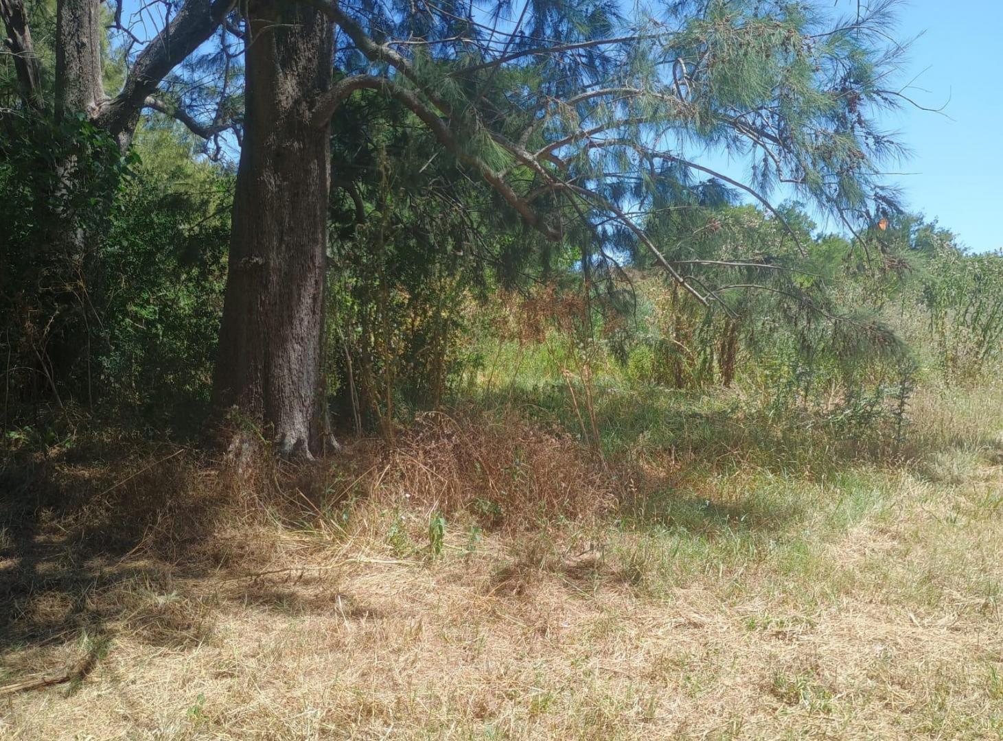 Foto de Lote en venta - Abasto - La Plata, imagen 1