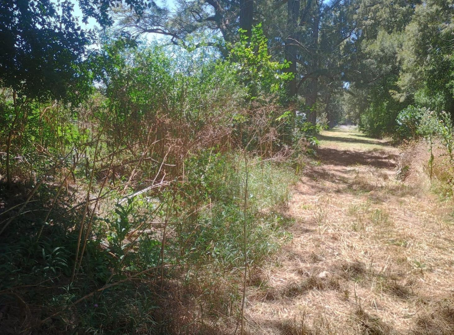 Foto de Lote en venta - Abasto - La Plata, imagen 4