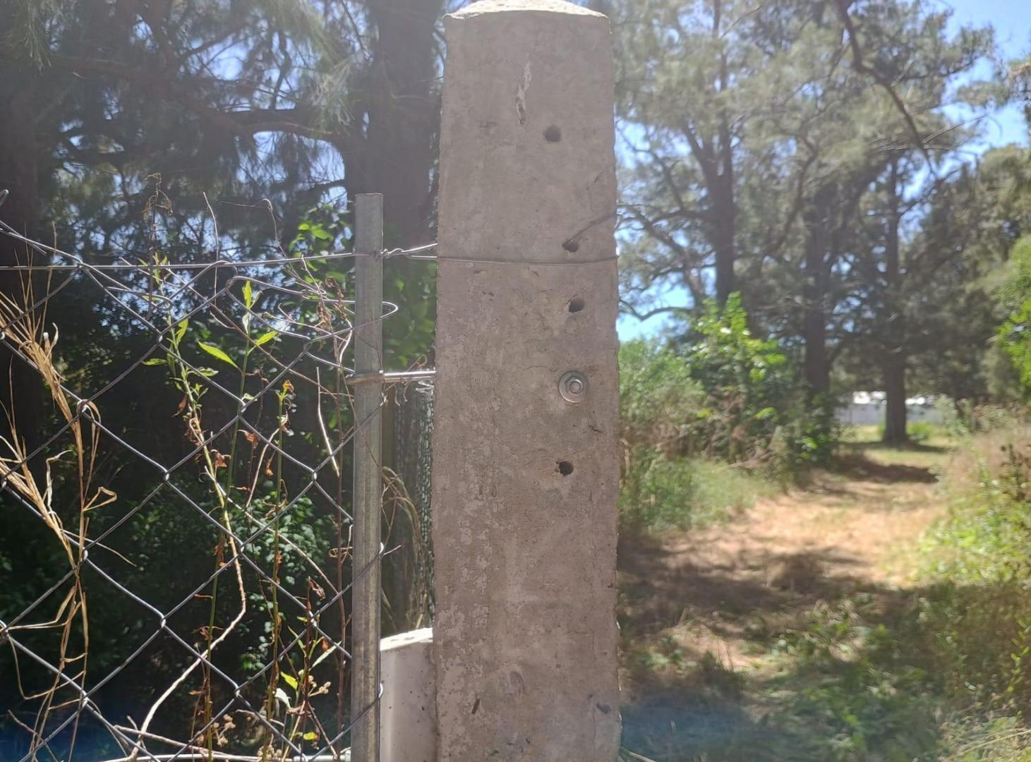 Foto de Lote en venta - Abasto - La Plata, imagen 3