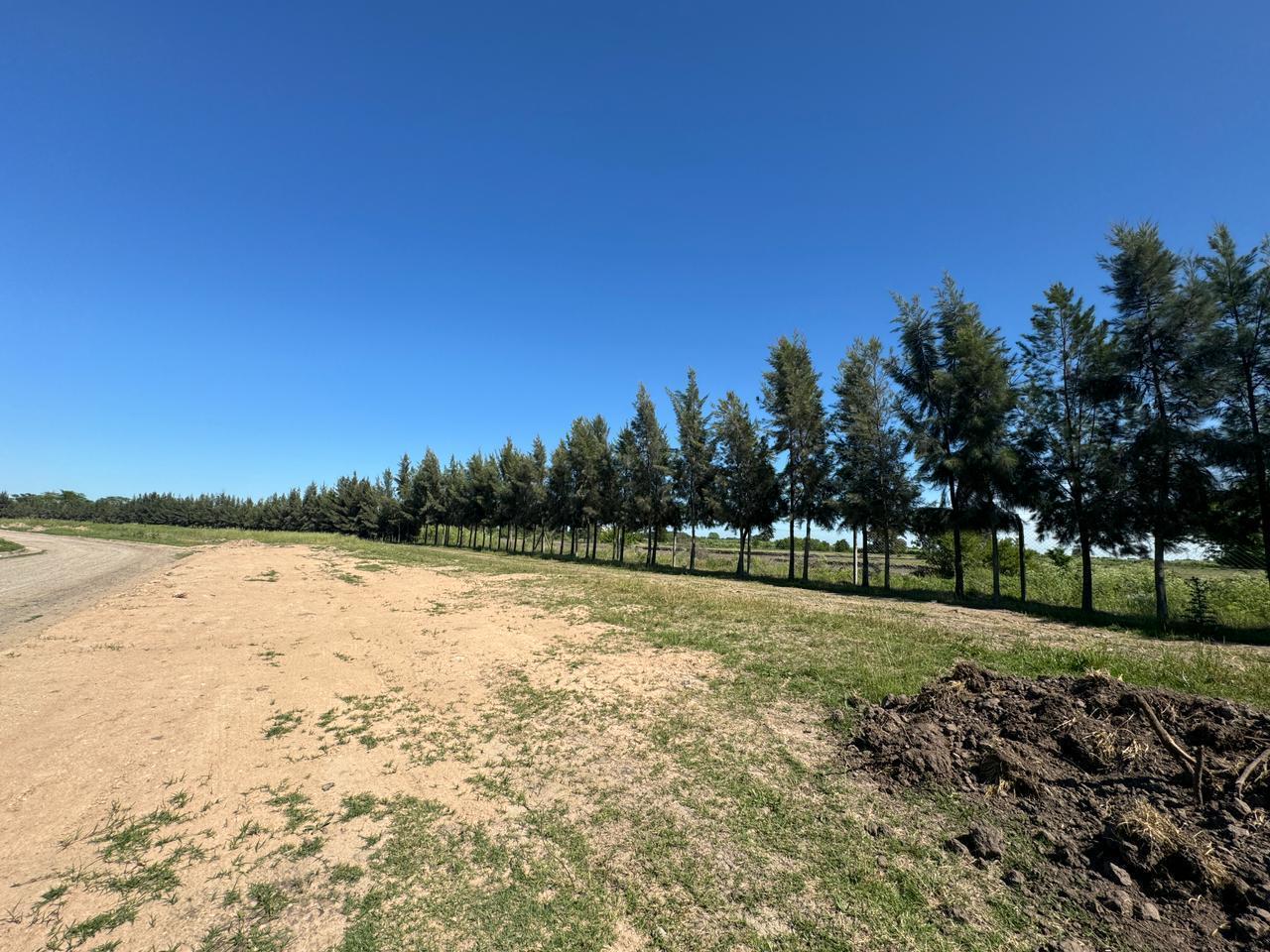 Foto de Lote en Venta en Barrio El Quimilar, imagen 4