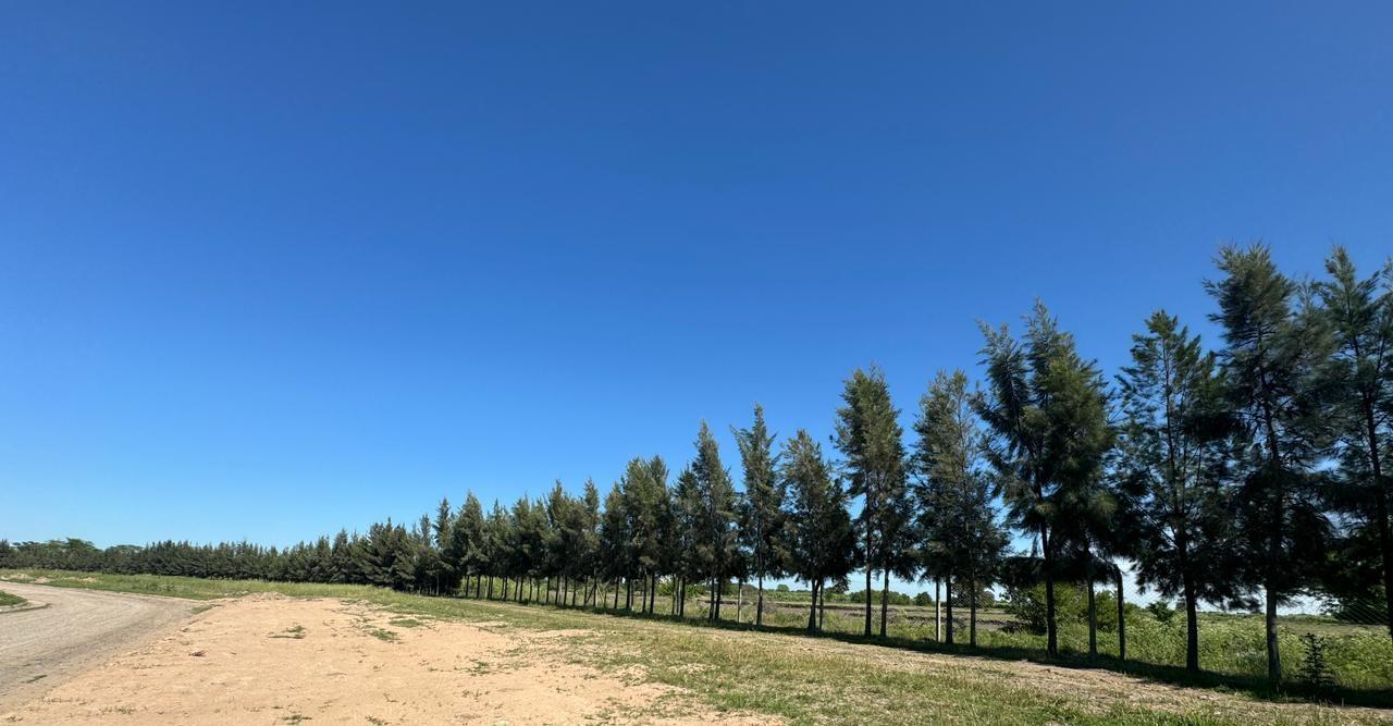 Foto de Lote en Venta en Barrio El Quimilar, imagen 5