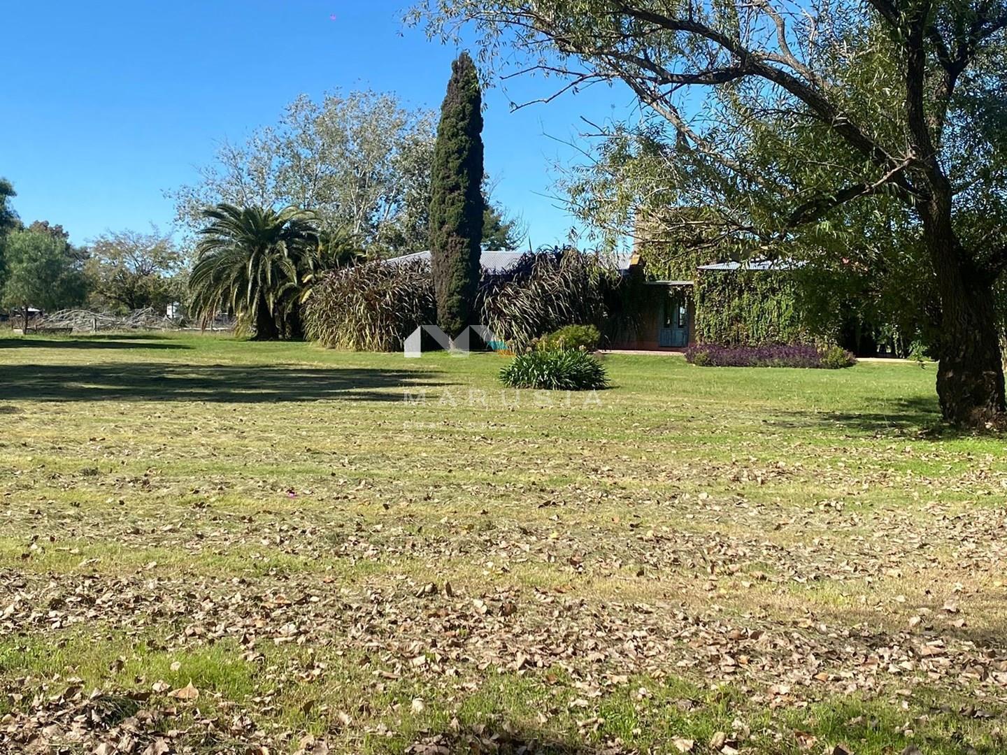 Imagen de la propiedad