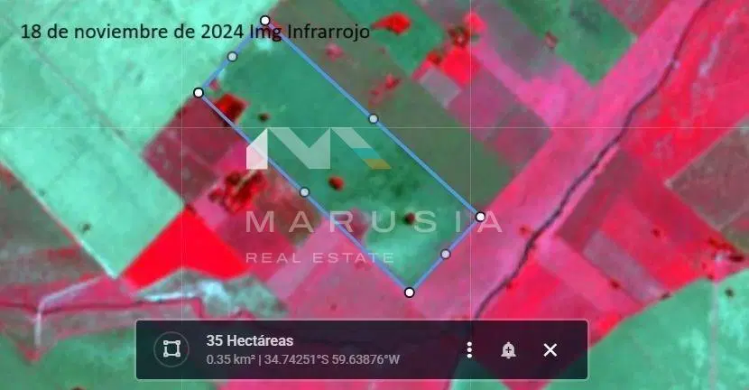 Terreno Campo  en Venta en Suipacha,  Resto de la Provincia, Buenos Aires 2