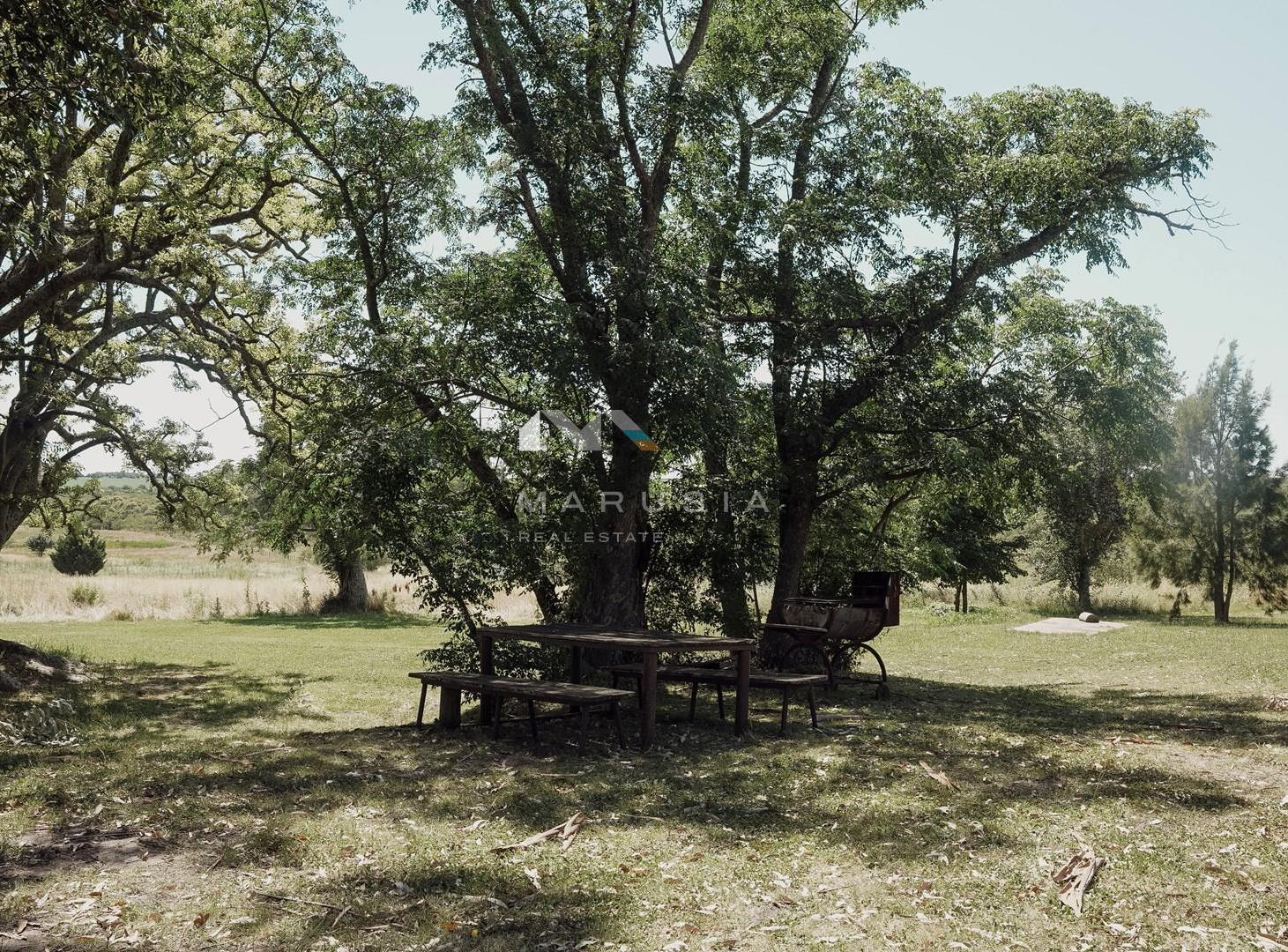 Foto de Casa en Alquiler en Carmelo, Colonia, Uruguay, imagen 2