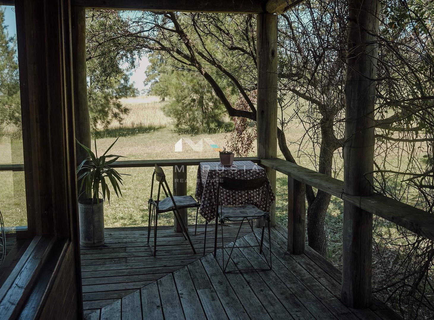 Foto de Casa en Alquiler en Carmelo, Colonia, Uruguay, imagen 5