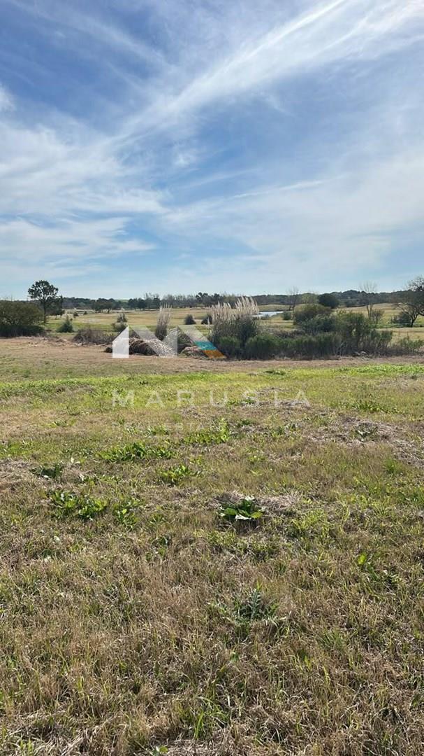 Foto de Terreno Urbano en Venta en El Golf, Carmelo, Colonia, imagen 3