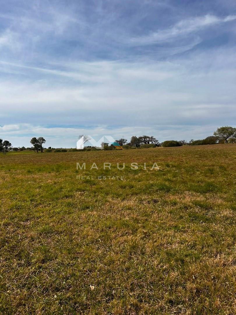 Foto de Terreno Urbano en Venta en El Golf, Carmelo, Colonia, imagen 2