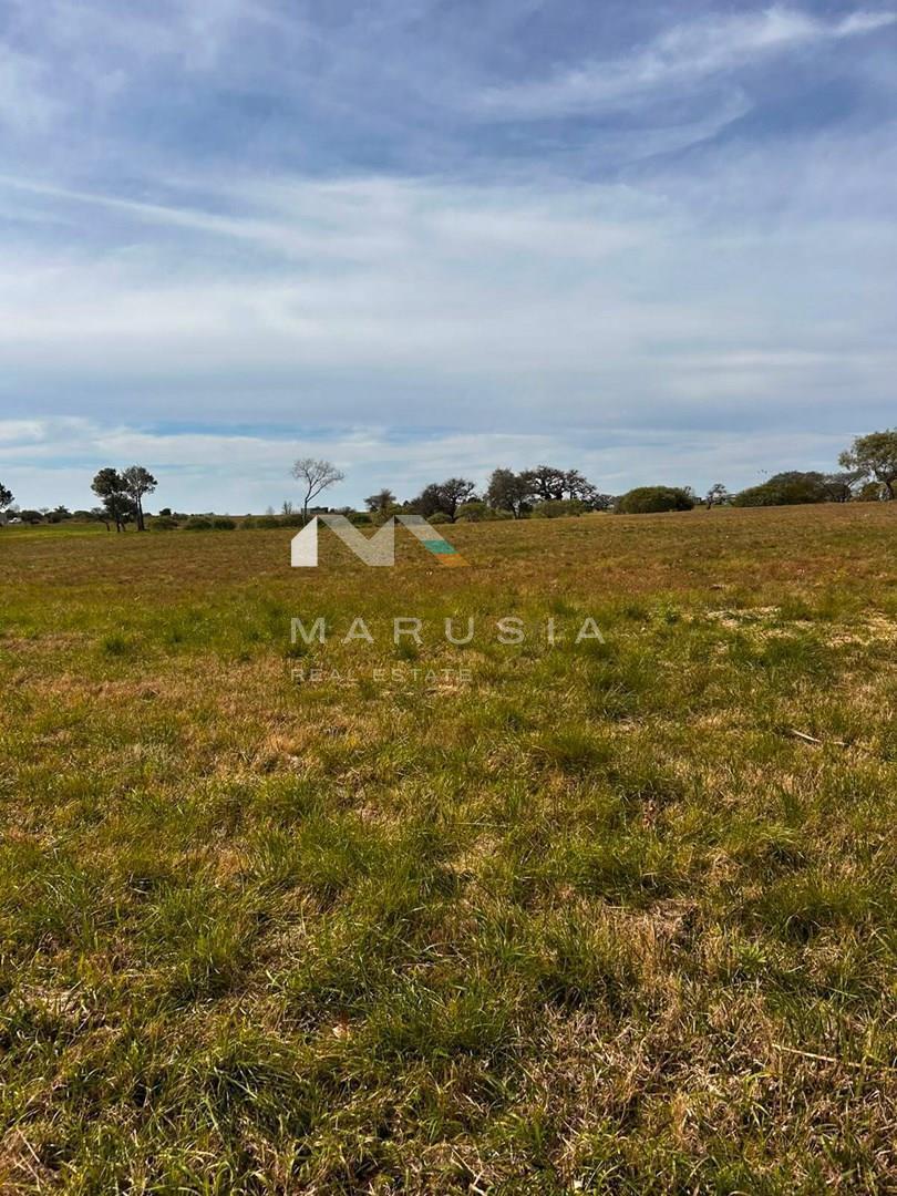 Foto de Terreno Urbano en Venta en El Golf, Carmelo, Colonia, imagen 4