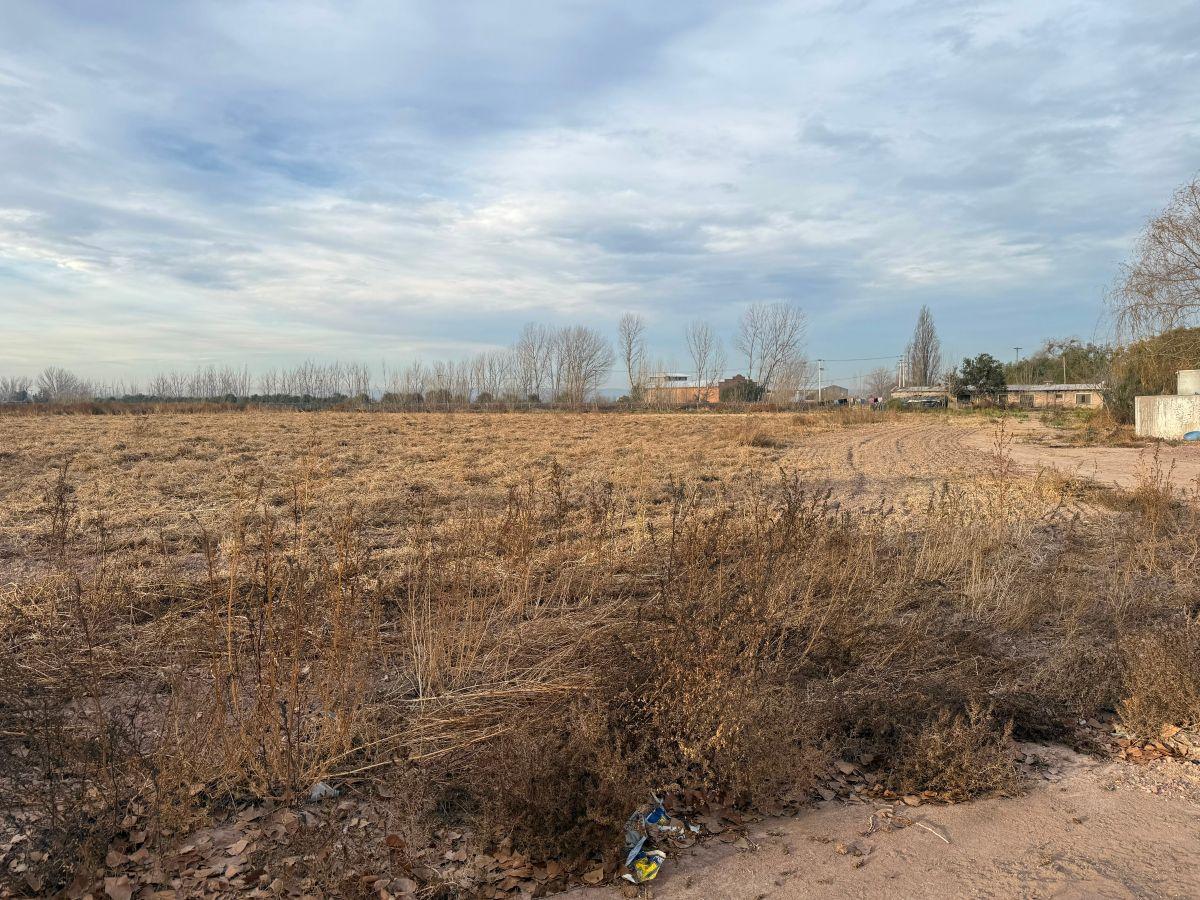 Foto de MARCEROU PROPIEDADES VENDE INMUEBLE RURAL, imagen 5