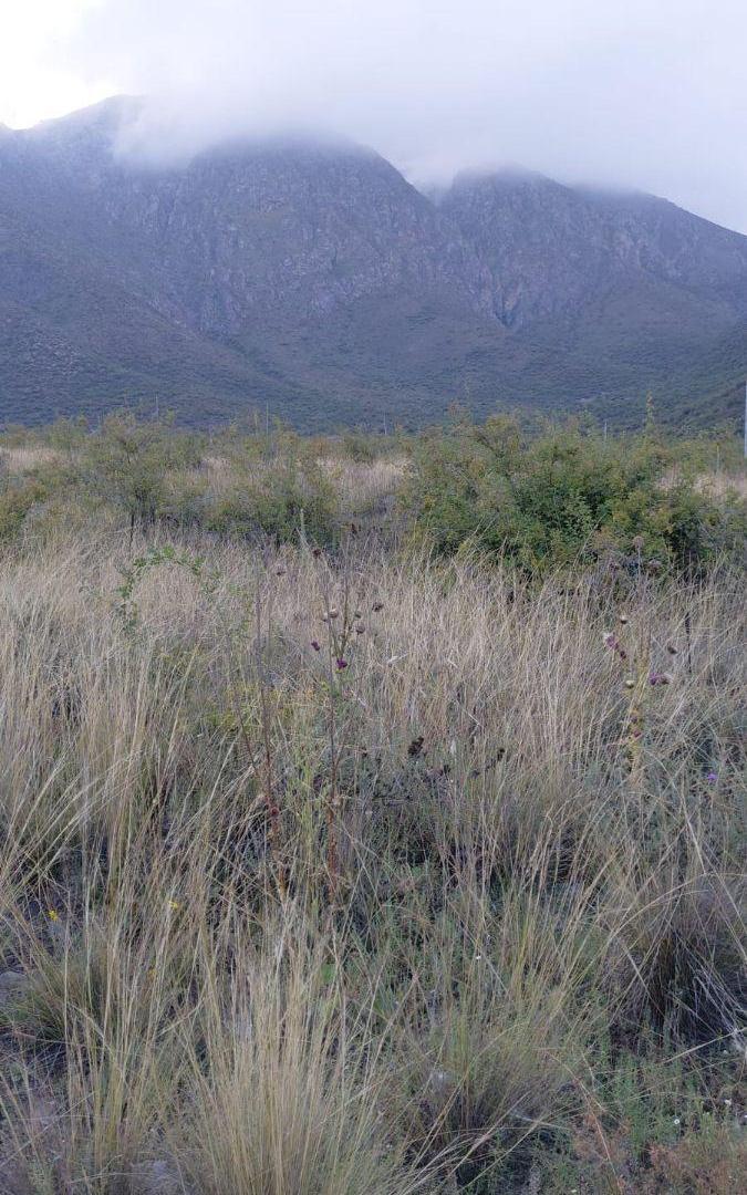 Foto de MARCEROU PROPIEDADES VENDE HERMOSOS TERRENOS EN BARRIO VISTAS DEL, imagen 3