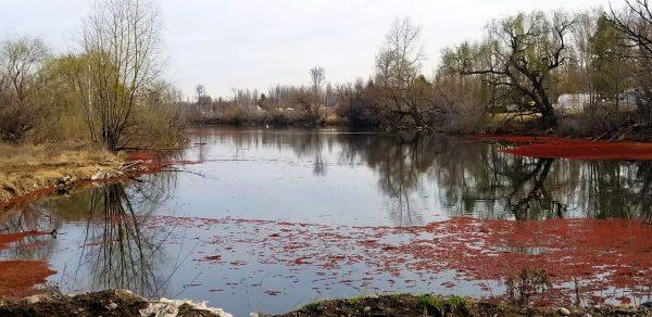 Venta Terrenos Herradura de Limay 3