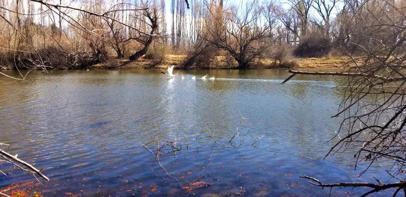 Venta Terrenos Herradura de Limay 2