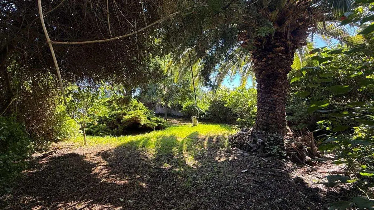 VENTA CASA 3 AMBIENTES ALPINA CON PARQUE 4