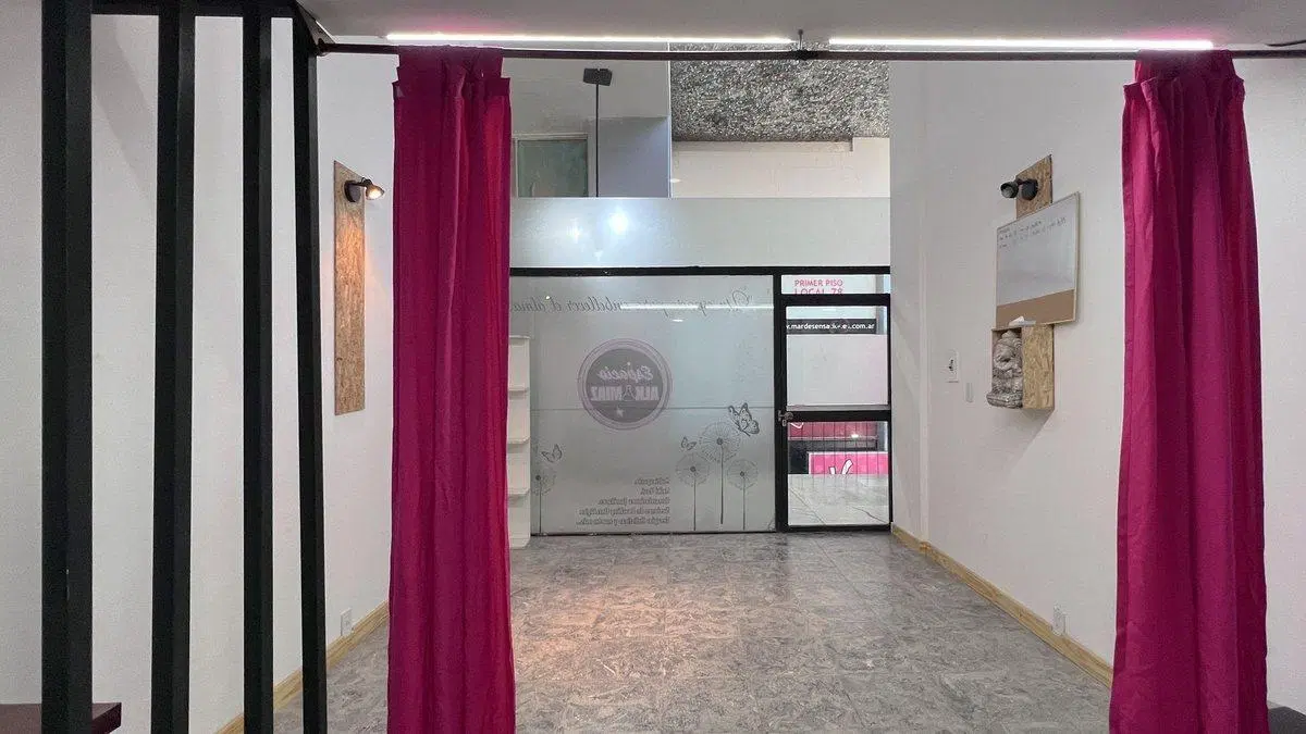 VENTA LOCAL GALERIA LAS AMERICAS PEATONAL, CENTRO 4