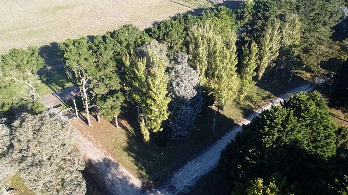 Venta Lote Barrio Pinares de Santa Clara 2028 m² 4