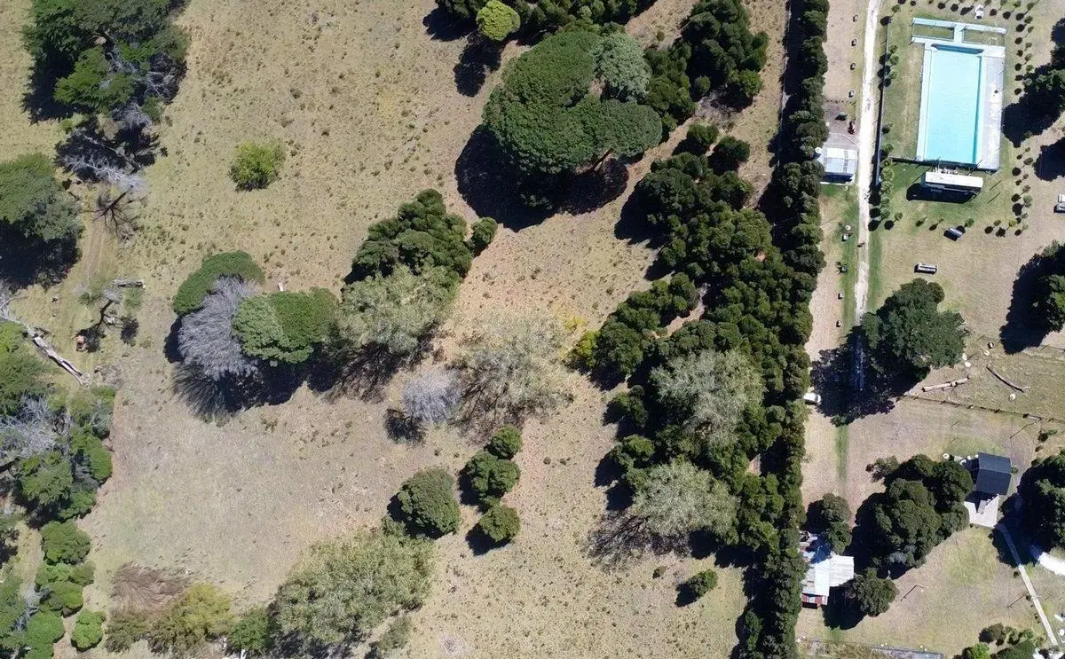 LOTE 1410 MT2 MONTE TERRABUSI 5