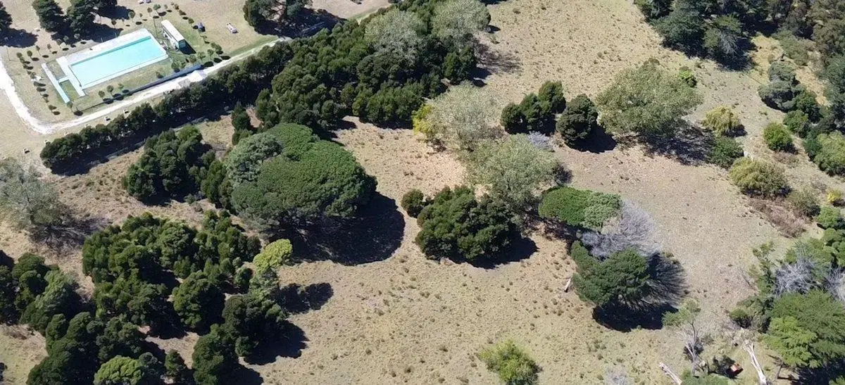 LOTE 1410 MT2 MONTE TERRABUSI 2