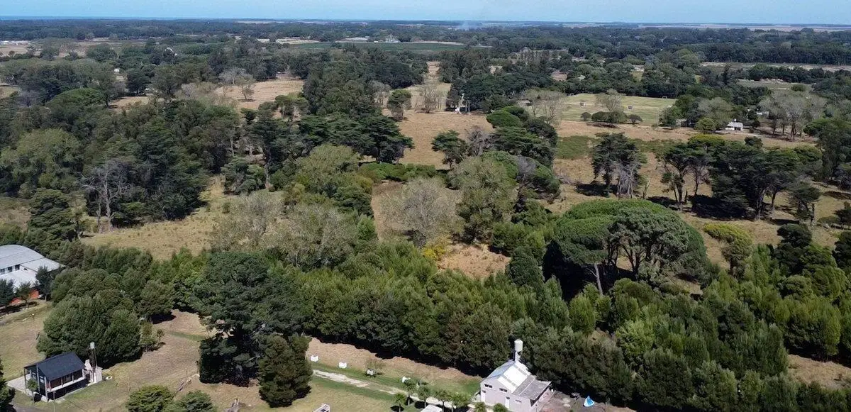 LOTE 1410 MT2 MONTE TERRABUSI 3
