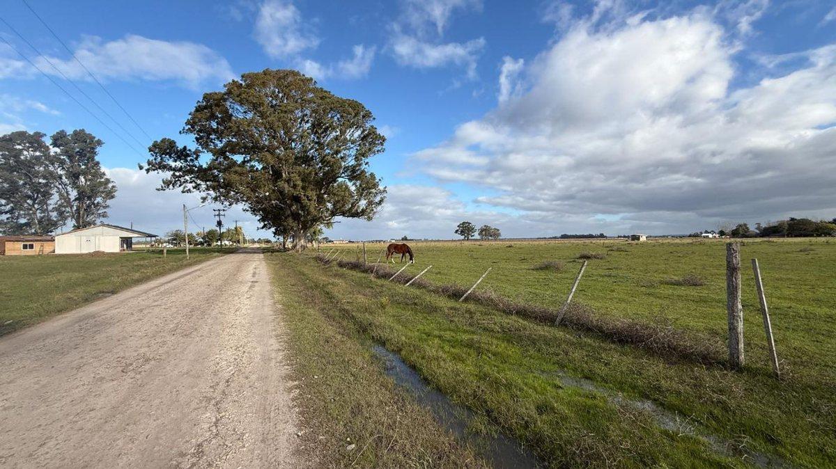 Venta 2 lotes en El Casal 774 m2 oportunidad