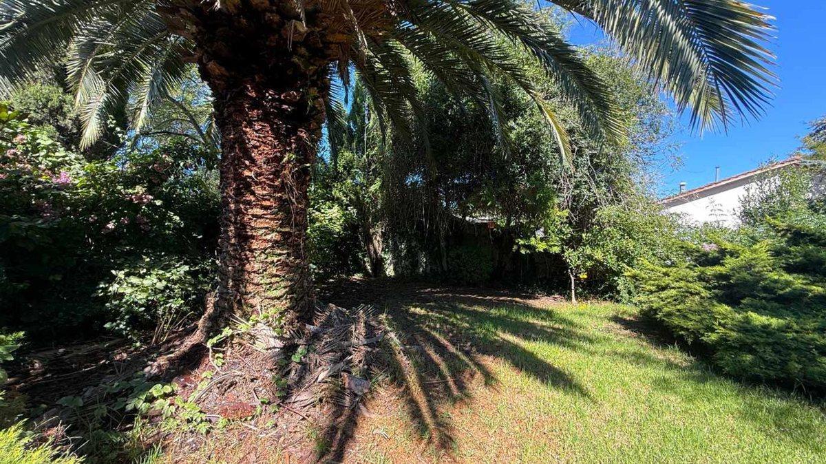 Foto de VENTA CASA 3 AMBIENTES ALPINA CON PARQUE, imagen 1
