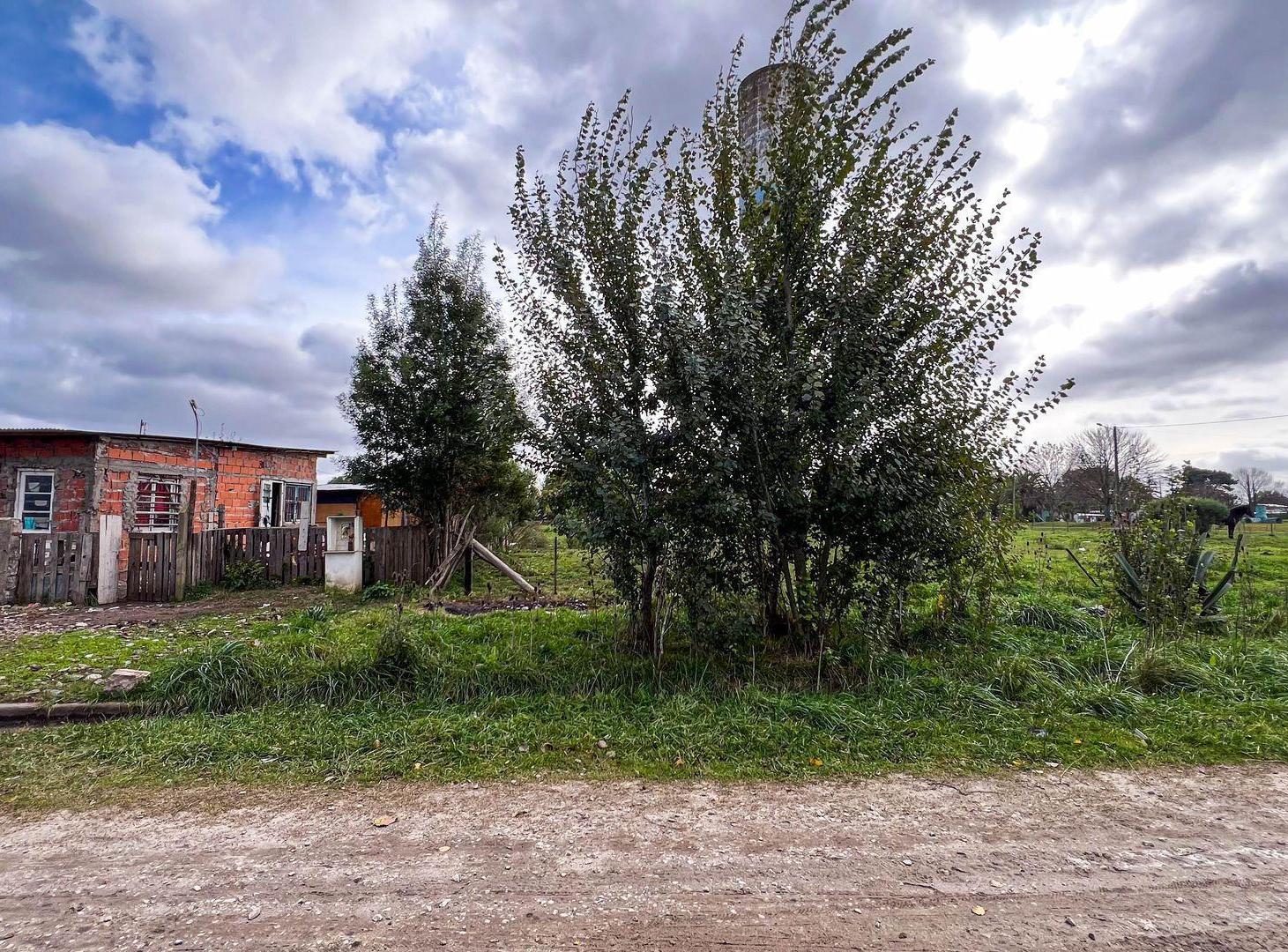 Foto de Lote en Barrio Hipodrómo, imagen 1