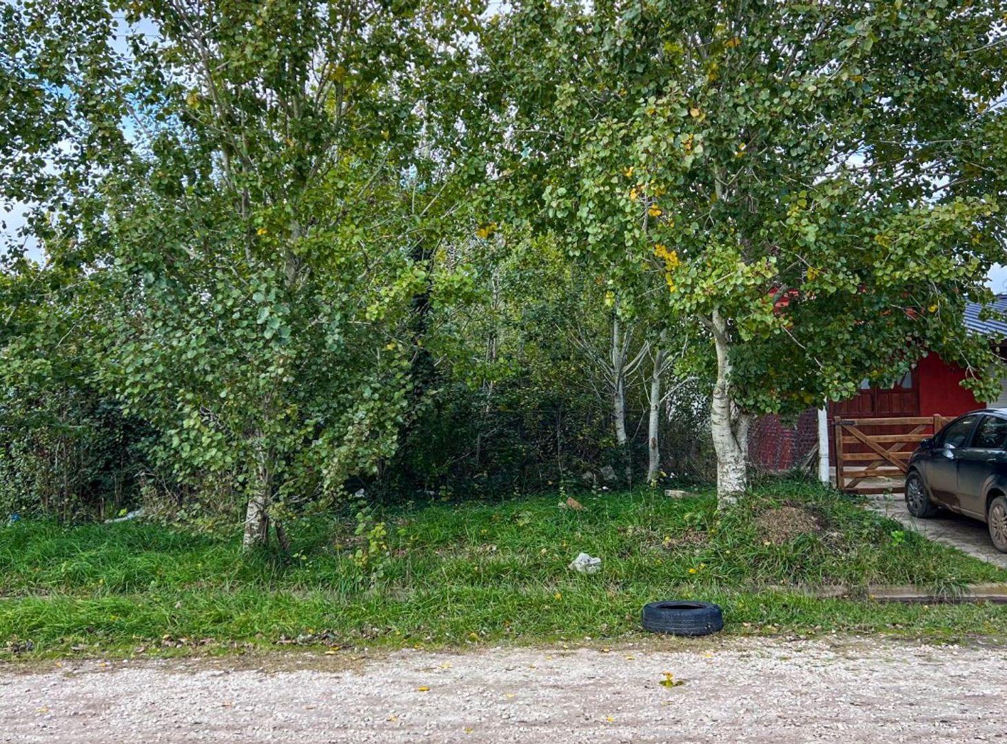 Foto de Lote en Barrio Hipodrómo, imagen 3