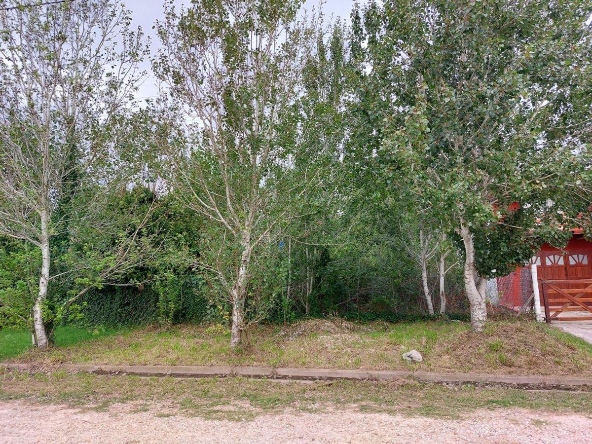 Foto de Lote en Barrio Hipodrómo, imagen 2