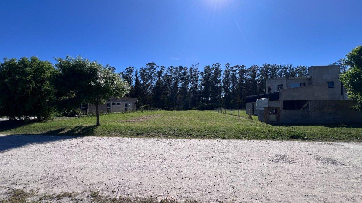 Foto de VENTA LOTE 829 M2 EN BARRIO HARAS DEL MAR, imagen 2
