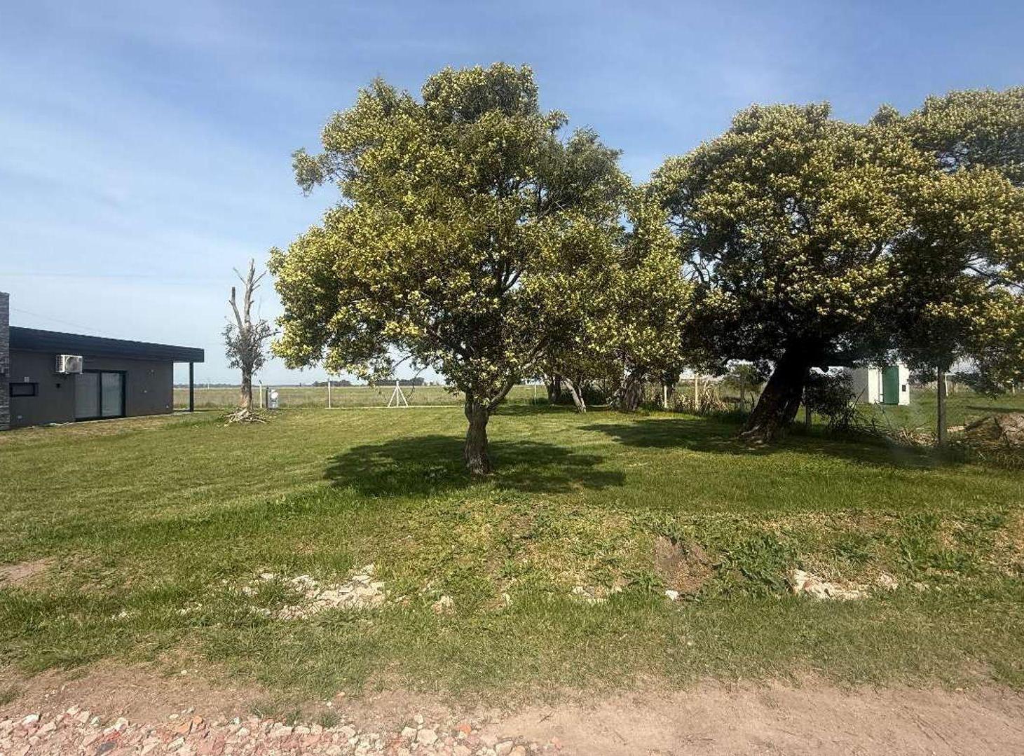 Foto de LOTE DE 477 M2 EN COSTA DEL SOL MAR CHIQUITA, imagen 4