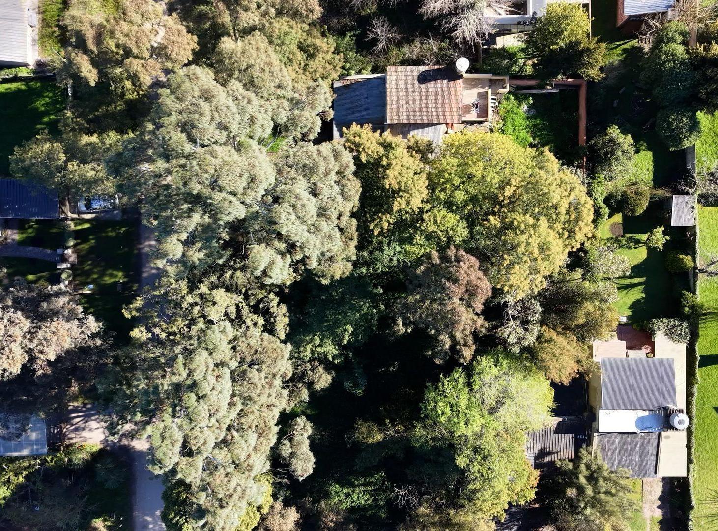 Foto de VENTA LOTE BARRIO PARQUE LAS MARGARITAS 352 m2, imagen 3