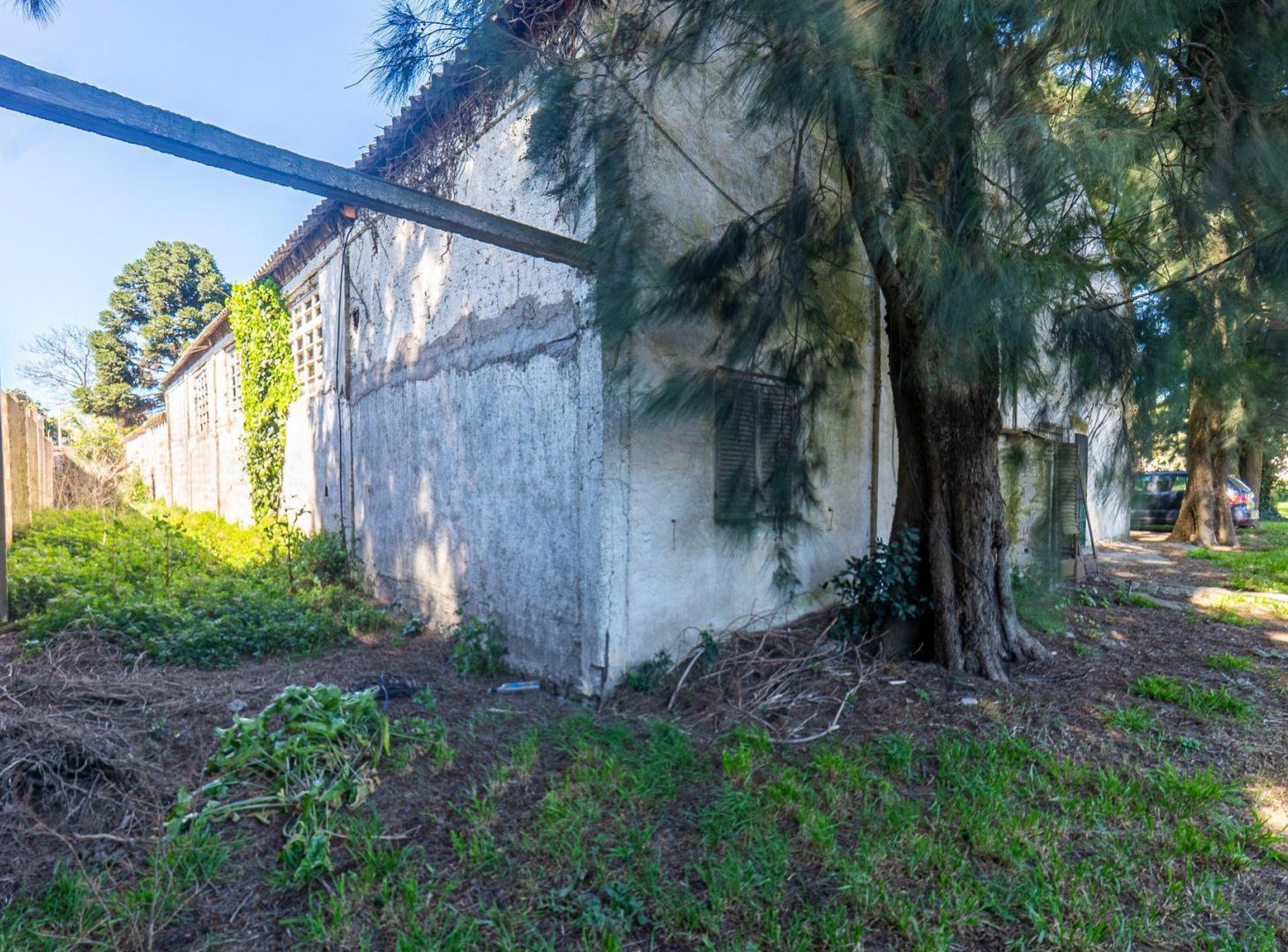 Foto de VENTA GALPON CON TERRENO 2613 M2 PARQUE PALERMO, imagen 5