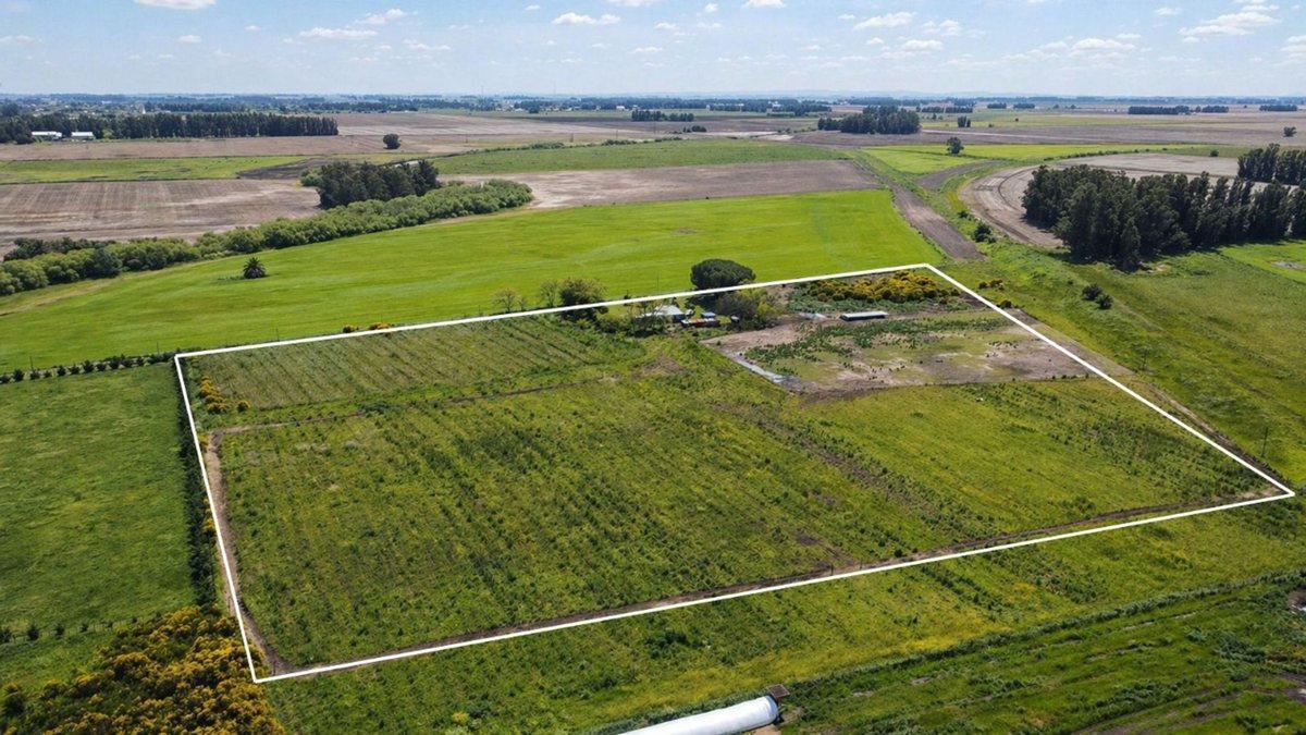 Foto de VENTA 6 HECTAREAS PARTIDO LOBERIA CON CASA 3 AMB, imagen 1