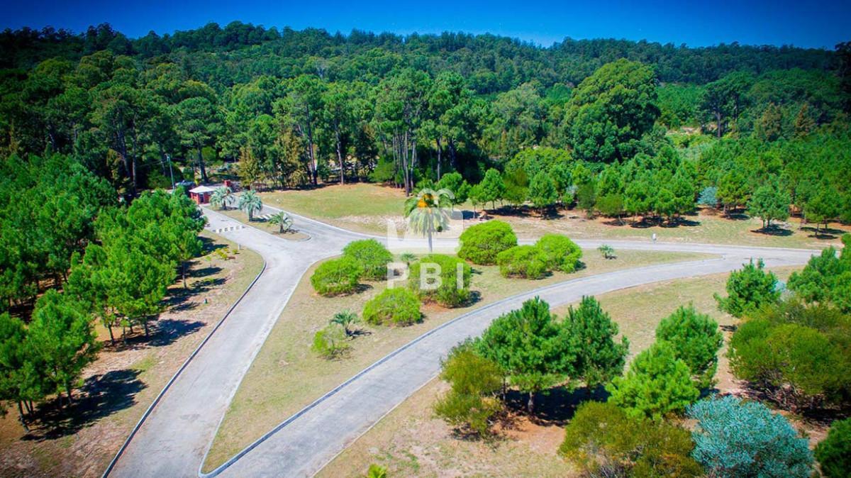 Foto de Venta de Lote en Acres de Solana, Punta Ballena - Ref : PBI15620, imagen 2