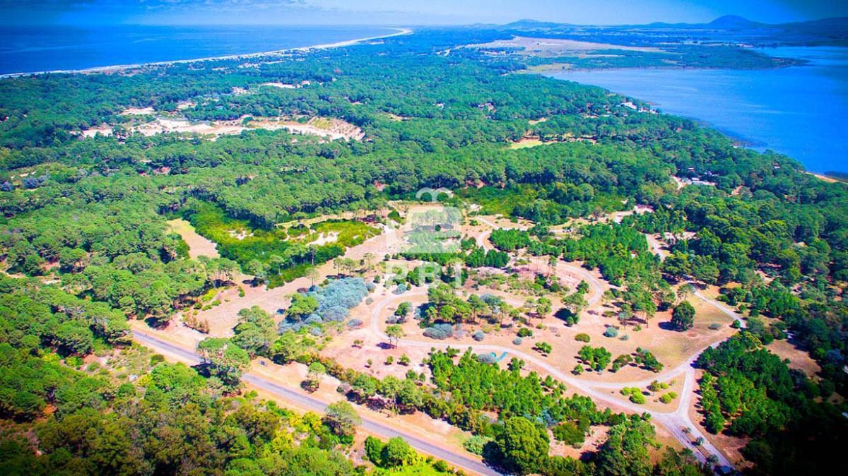 Foto de Venta de Lote en Acres de Solana, Punta Ballena - Ref : PBI15620, imagen 1