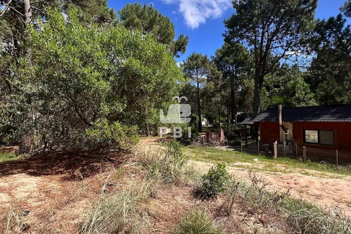 Terreno en venta en Club Del Lago, Punta Ballena - Ref : PBI15702 4
