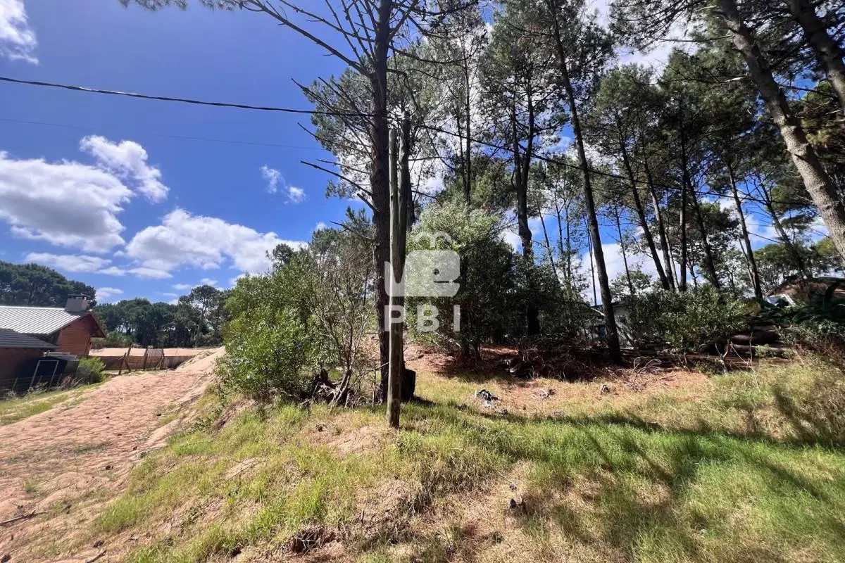 Terreno en venta en Club Del Lago, Punta Ballena - Ref : PBI15702 1