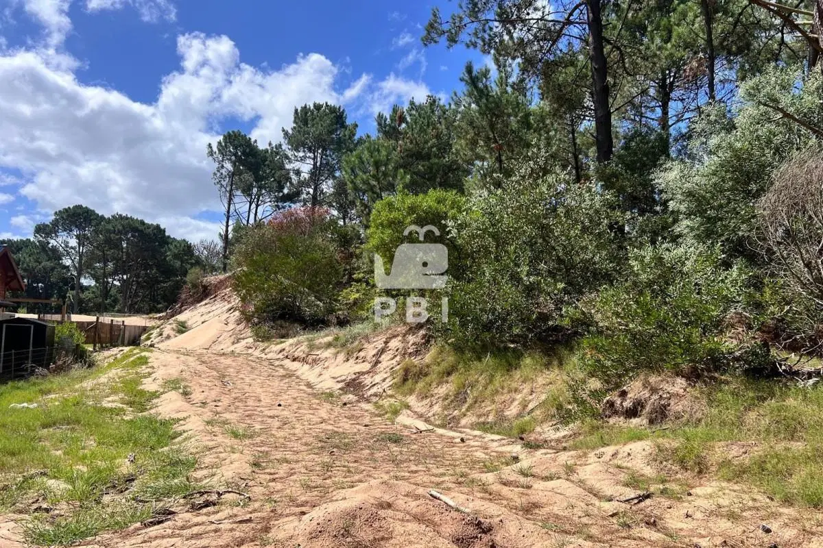 Terreno en venta en Club Del Lago, Punta Ballena - Ref : PBI15702 2