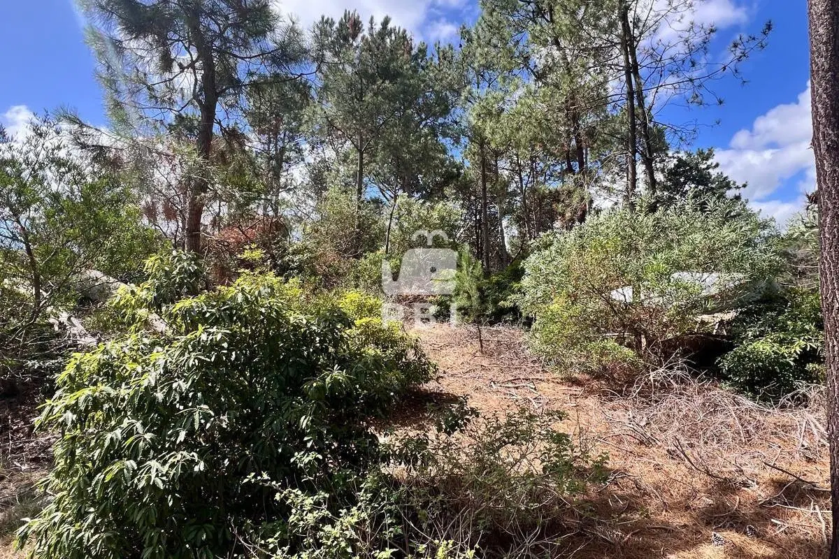 Terreno en venta en Club Del Lago, Punta Ballena - Ref : PBI15702 5